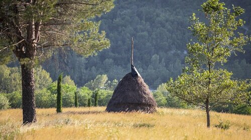 Гостиница Locanda dei Cinque Cerri