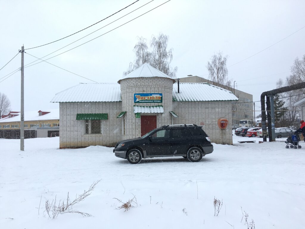 Магазин хозтоваров и бытовой химии Чистюля, Звенигово, фото