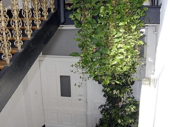 Фото Ferienwohnungen Neumann