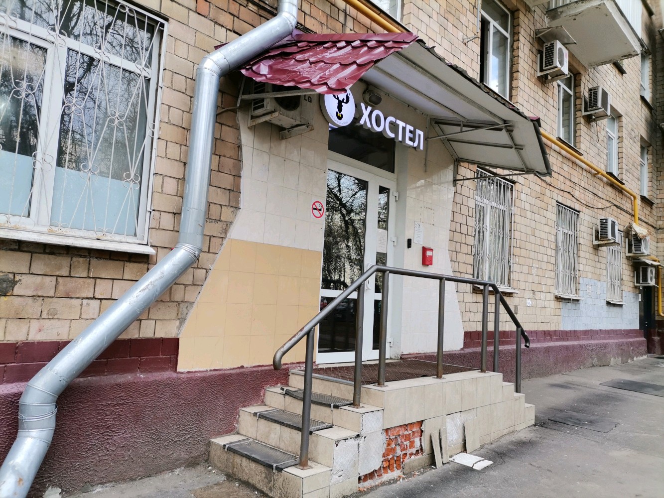 Фото Вежливый лось