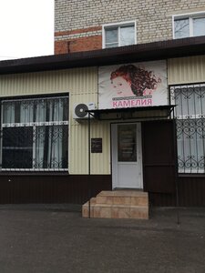 Камелия (Liski, ulitsa Tuleberdiyeva, 4), hairdresser