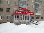 Авто Транжир (ulitsa Tereshkovoy, 10), auto parts and auto goods store