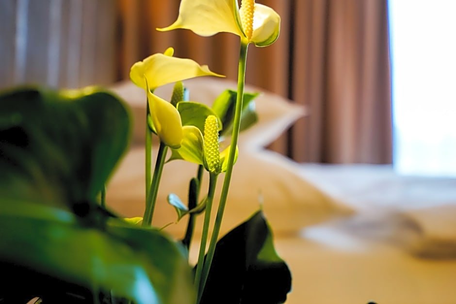 Фото Amedia Linz Trademark Collection by Wyndham