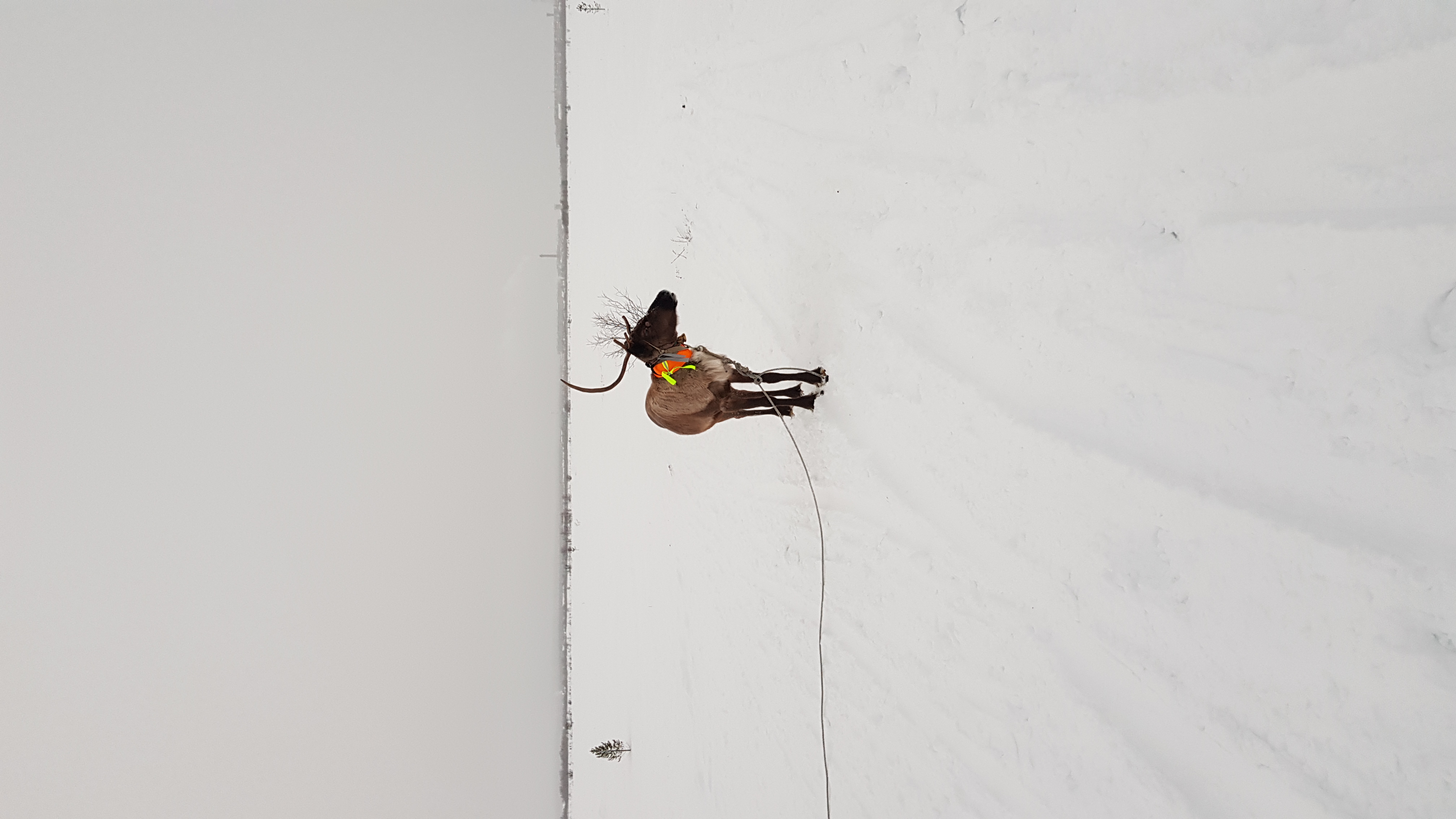 Фото База отдыха у Сейдозера