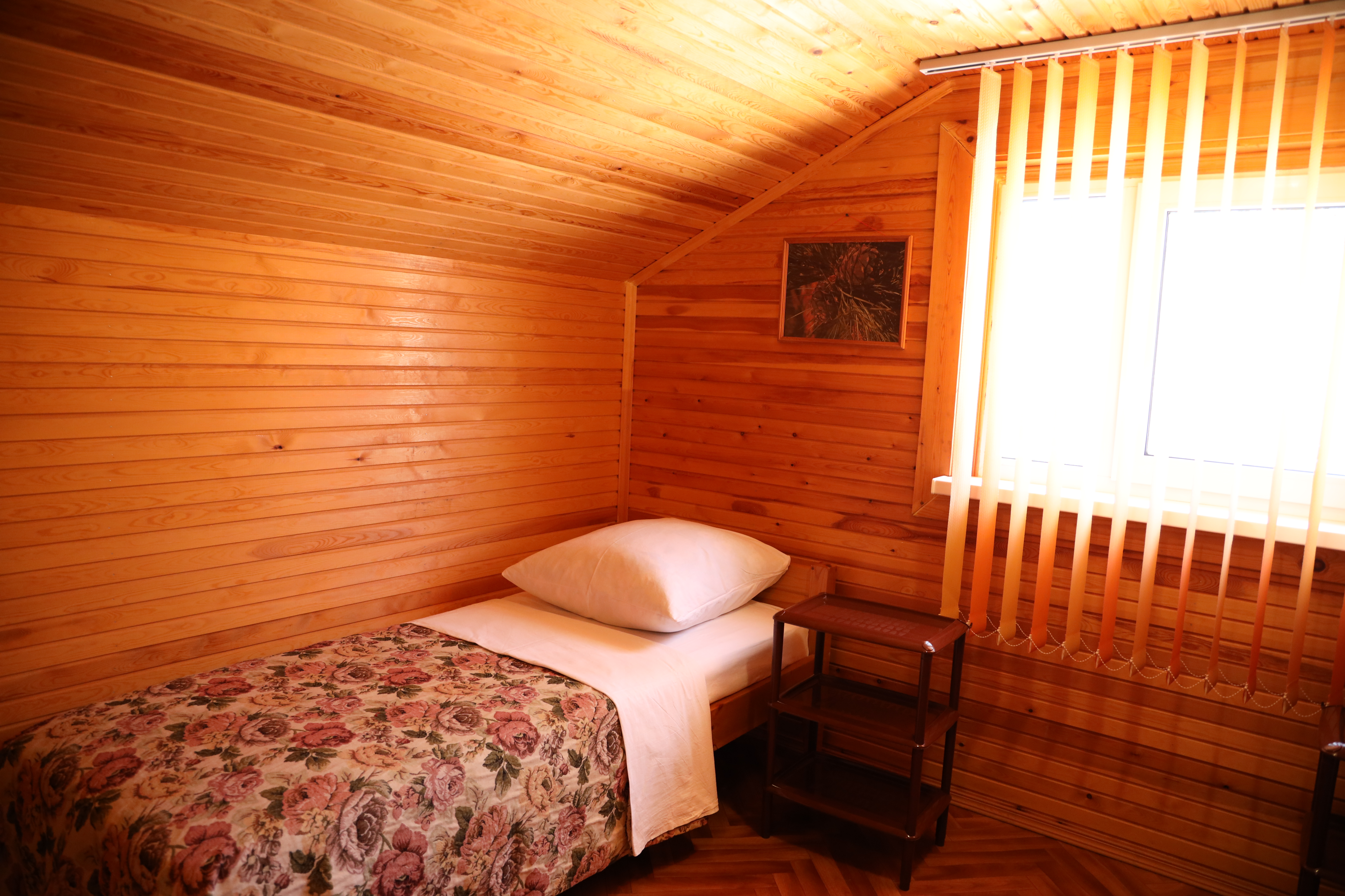 Фото Чабрец