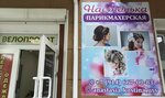 Hairdressing salon Nastenka (ulitsa Pushkina, 49), peluquería