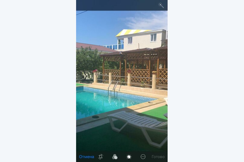 Фото Дельфин