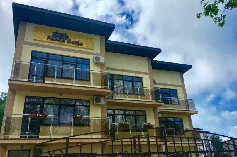 Фото Amigo Panna-Cotta