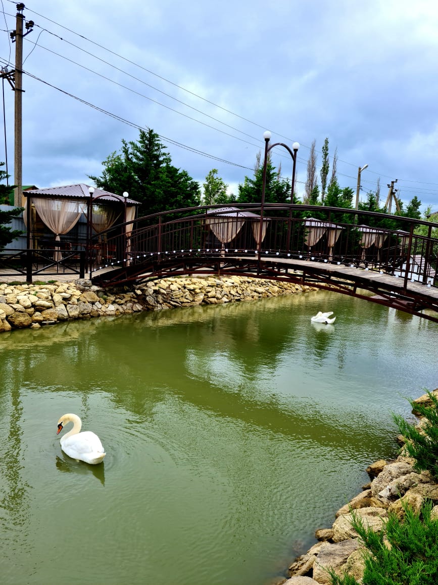 Фото Альтаир