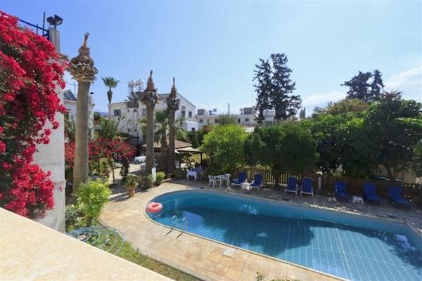 Фото Follow The Sun