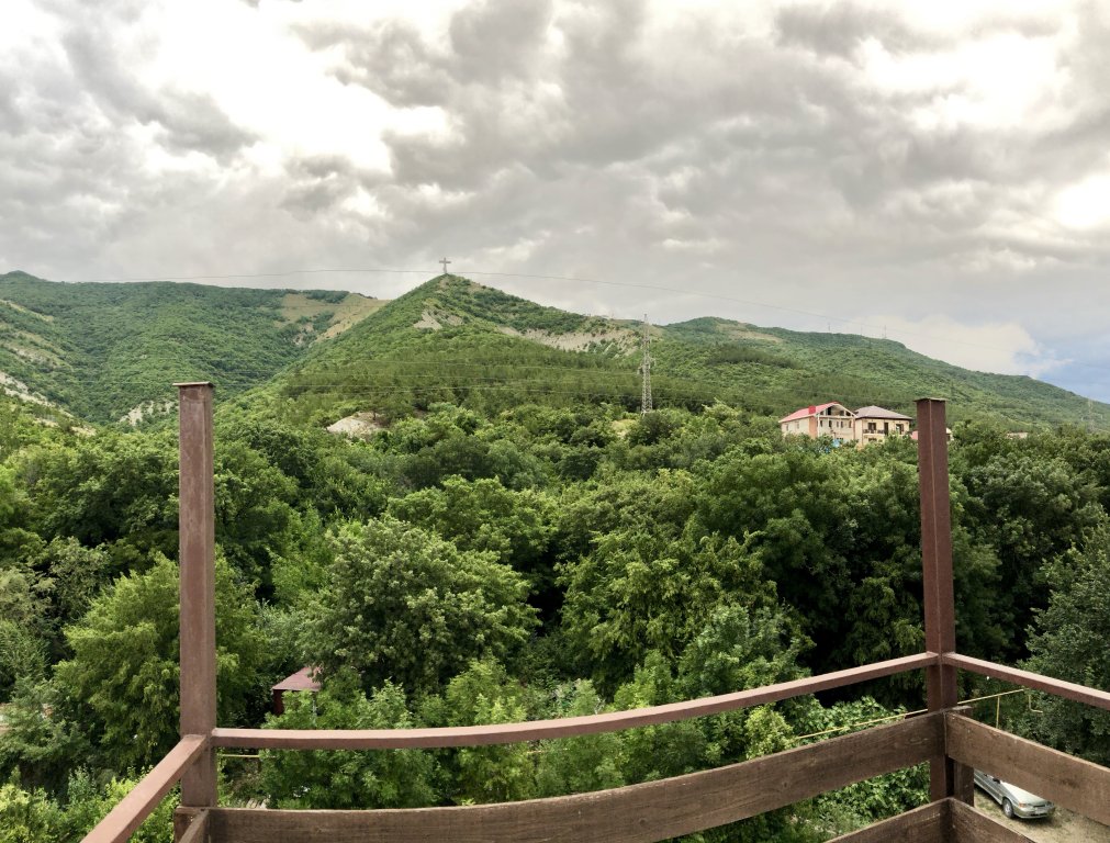 Фото Грин Лайн