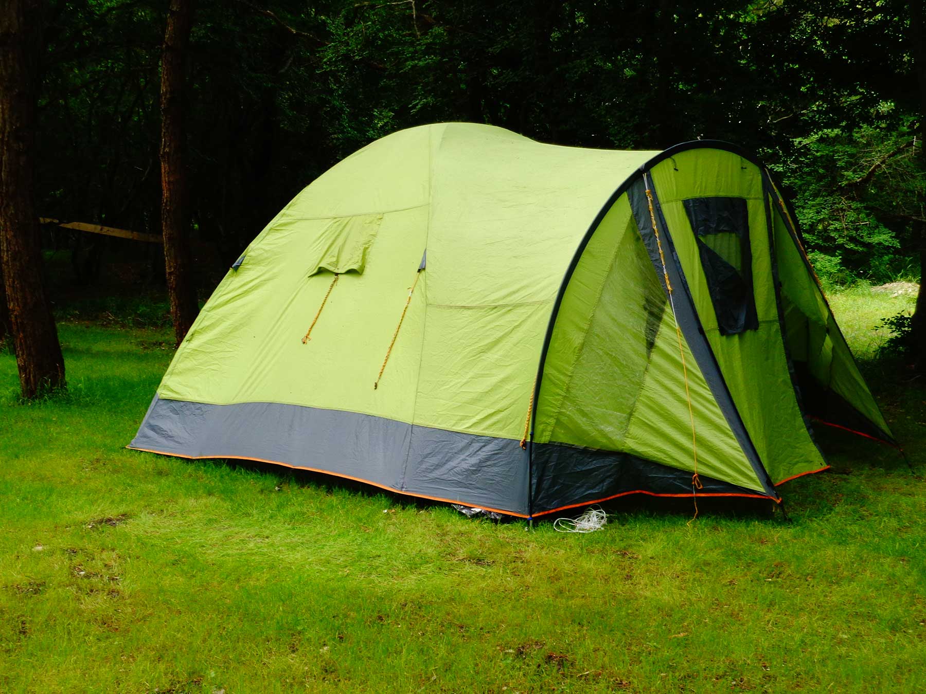 Фото Под соснами