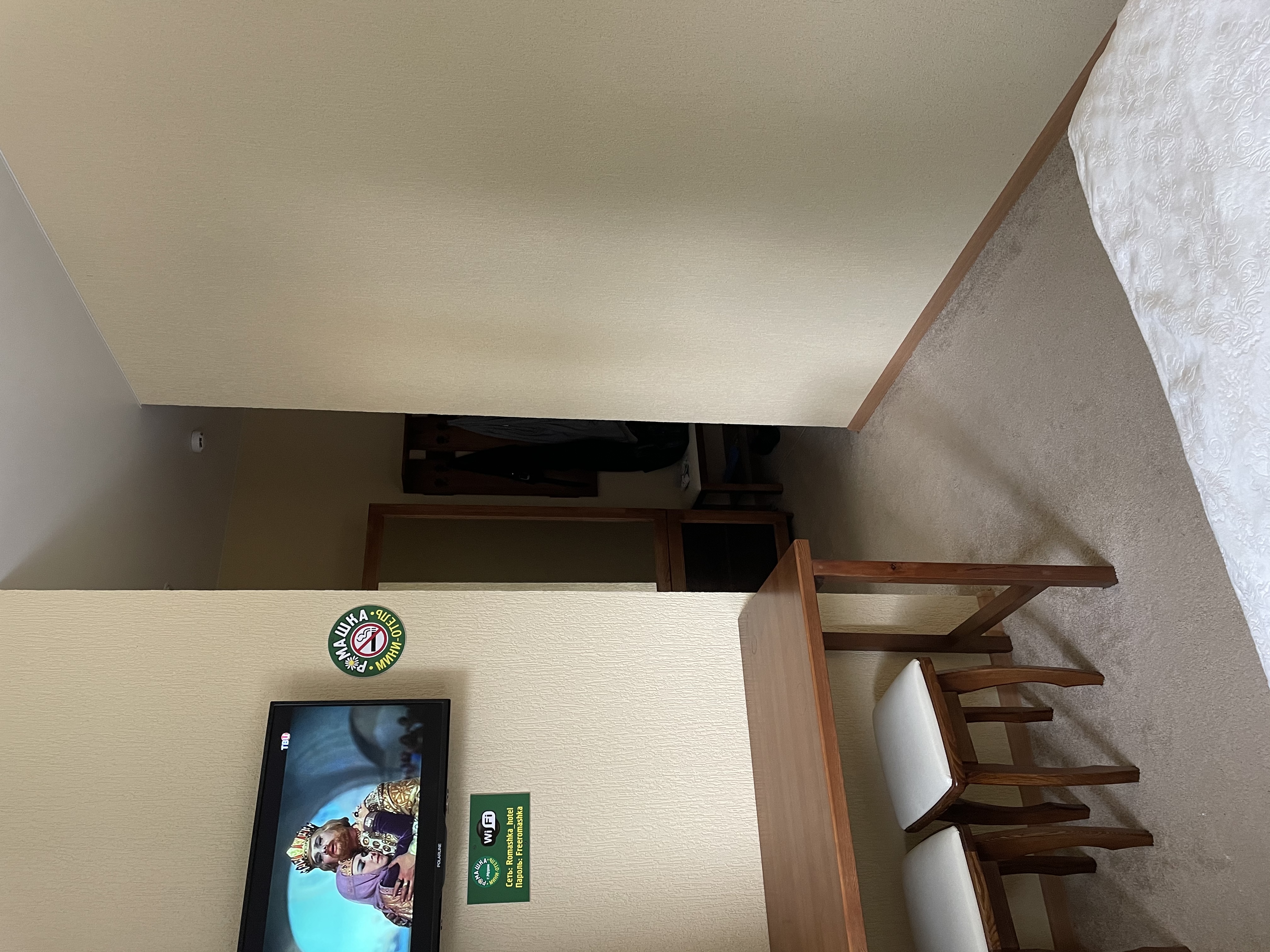 Фото Ромашка