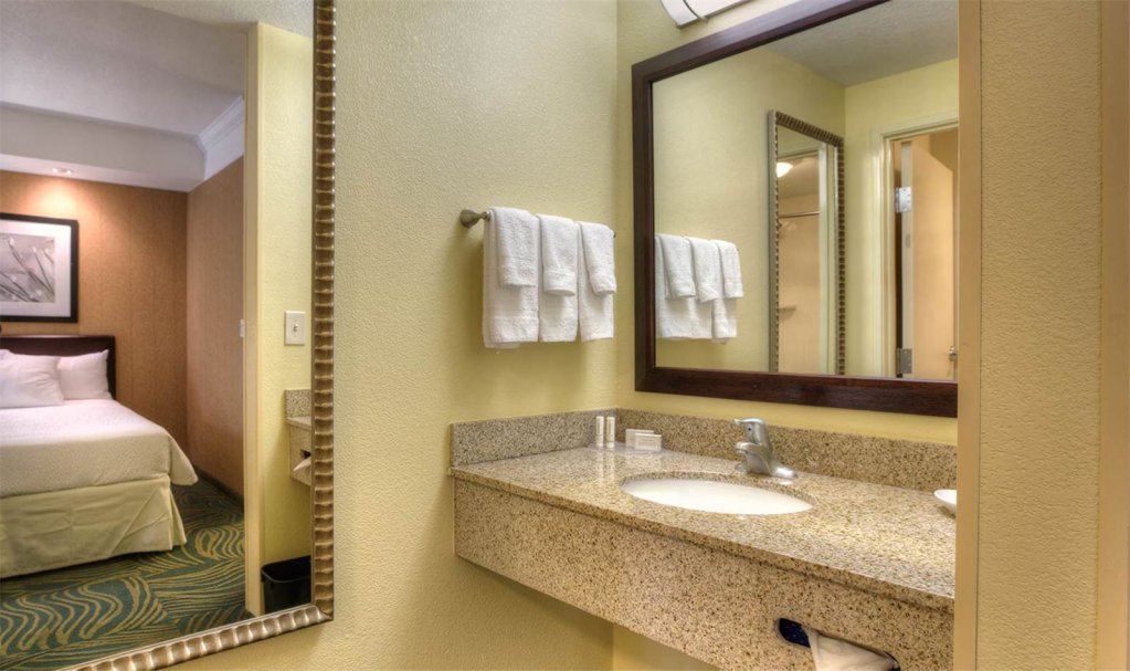 Фото Springhill Suites by Marriott Tampa Brandon