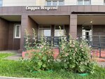 Kartina. Art (Nakhabino Urban-type Settlement, Korolyova Street, 11), school of the arts