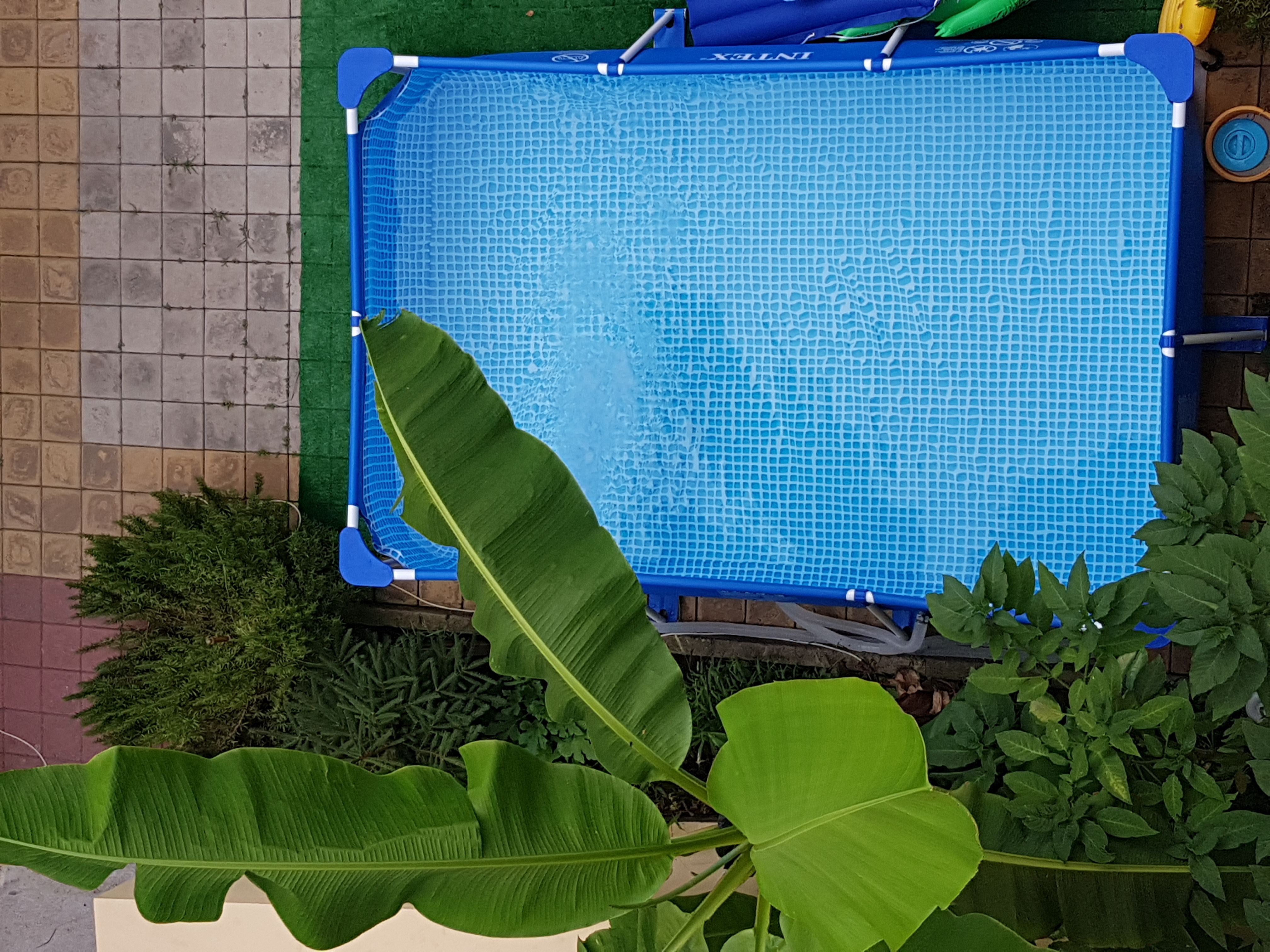 Фото Санрайз