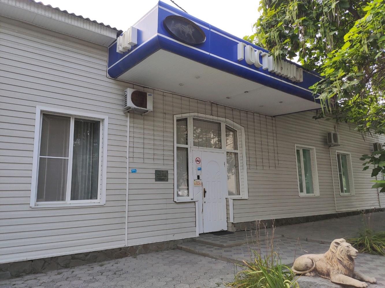 Фото Золотой лев