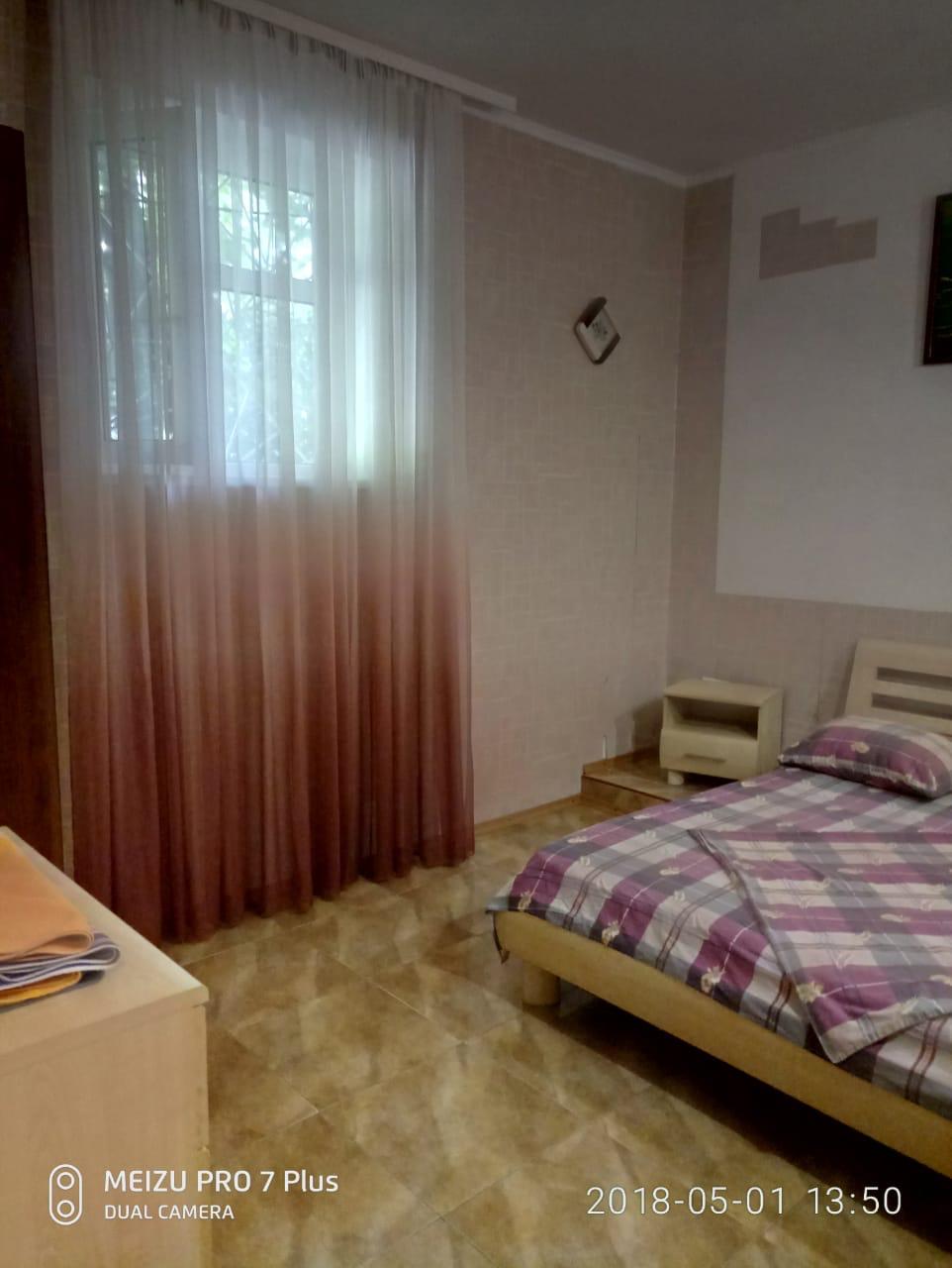 Фото Сосна и Пальмы