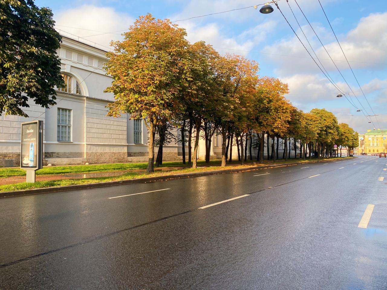 Фото Solo Исаакиевская площадь