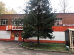 Лилия (posyolok Novosinkovo, 43А), flower shop