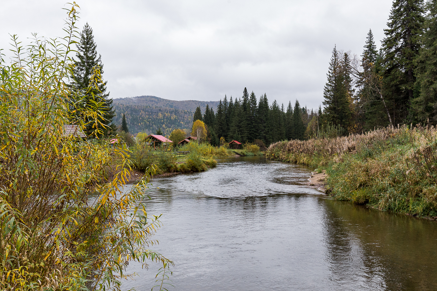 Фото Нарва Club