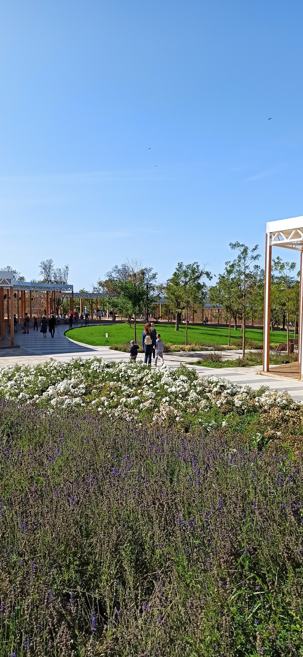 Фото Лазурный