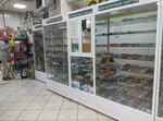 Оптика (Lenina Street, 17), opticial store