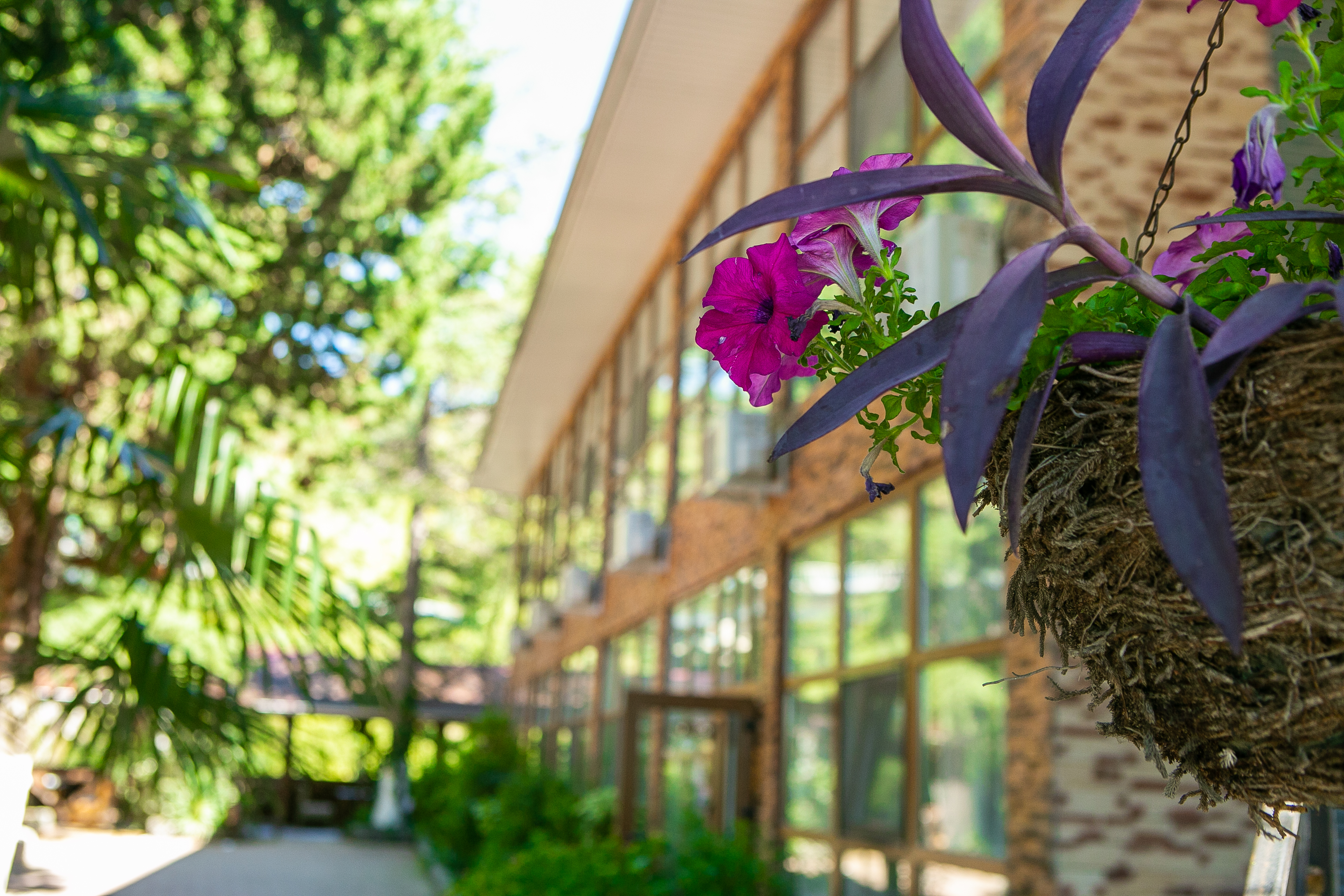 Фото Гости Кавказа