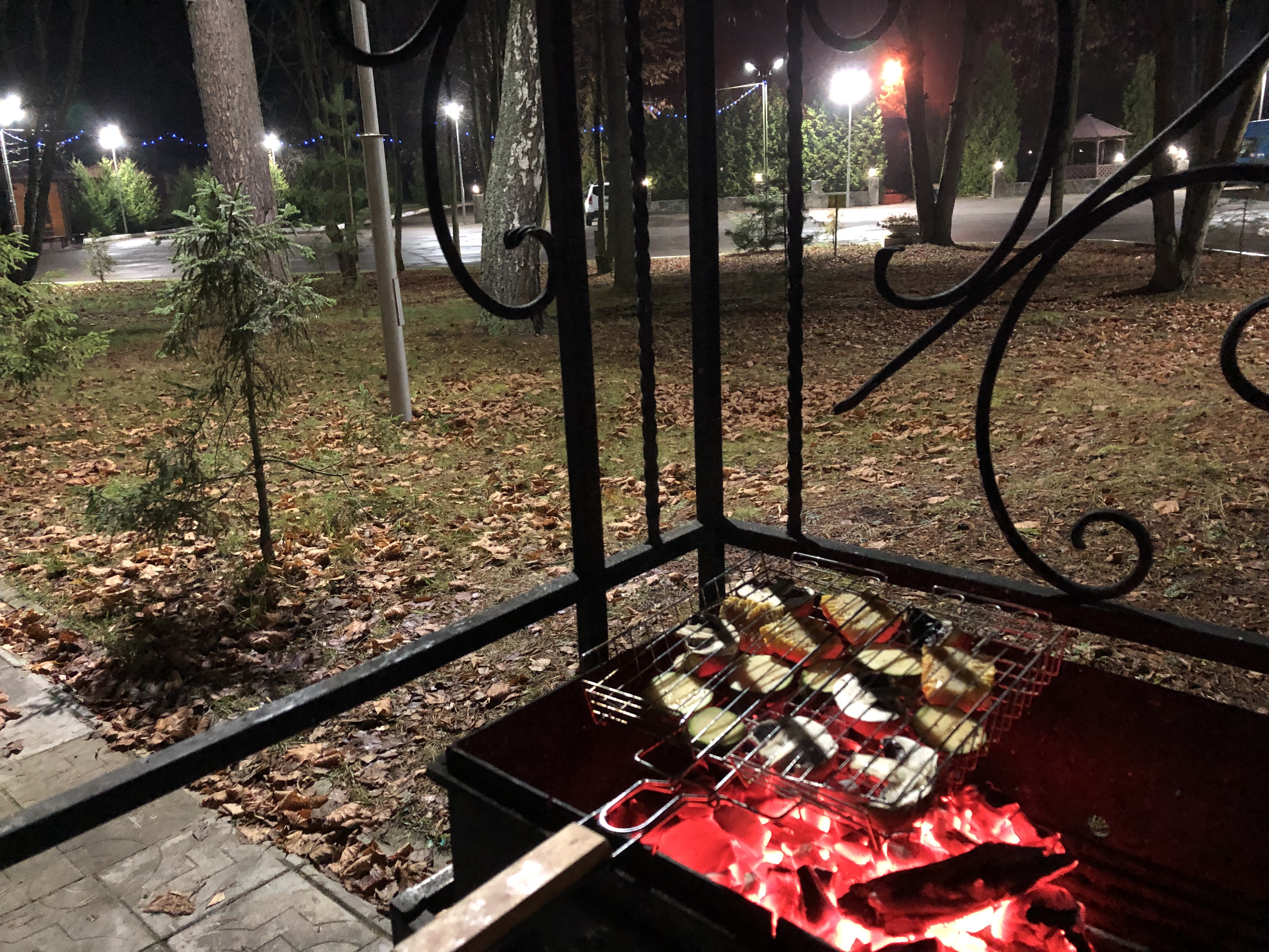 Фото Лесные пруды