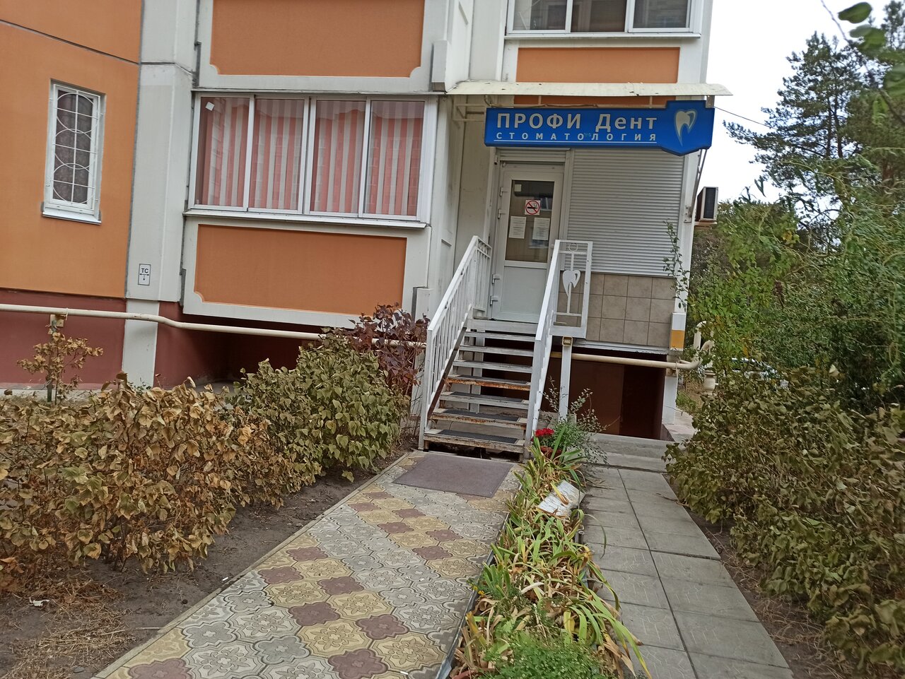 Проффи дент ул 14 павших 23 фото