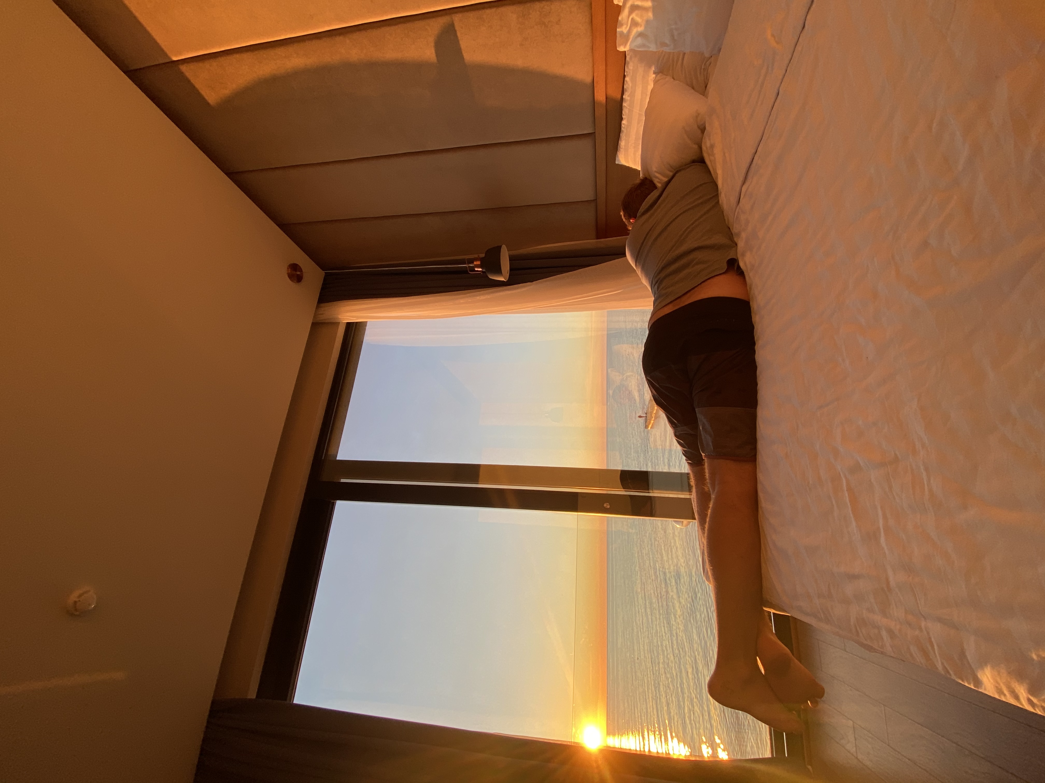 Фото Полёт Чайки