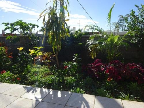 Фото Comfort stay Goyukkuri