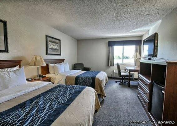 Гостиница Comfort Inn & Suites Diamondale – Lansing