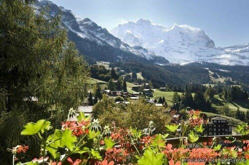 Гостиница Hotel Regina Wengen в Венгене