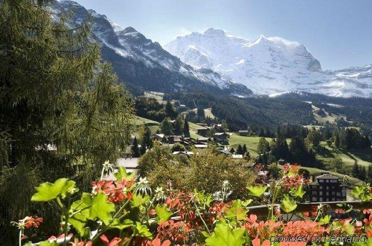 Фото Hotel Regina Wengen