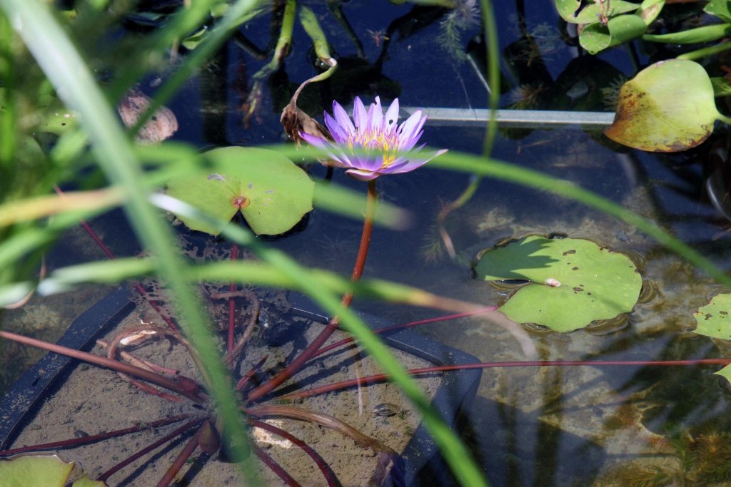 Фото Soleil House Hostel