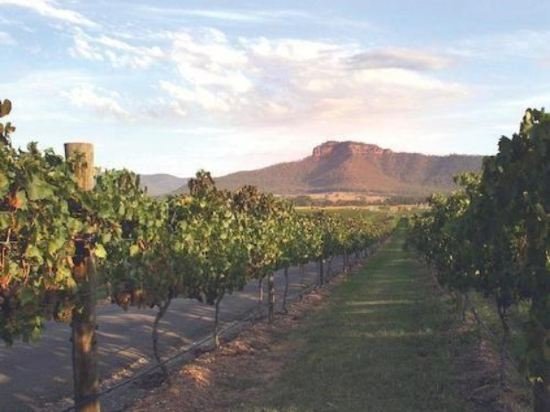 Фото Nightingale Luxury Villas