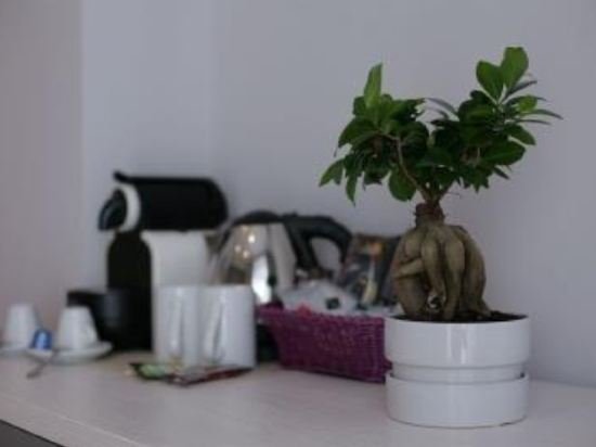 Фото Гостевой Дом Five Rooms Rome