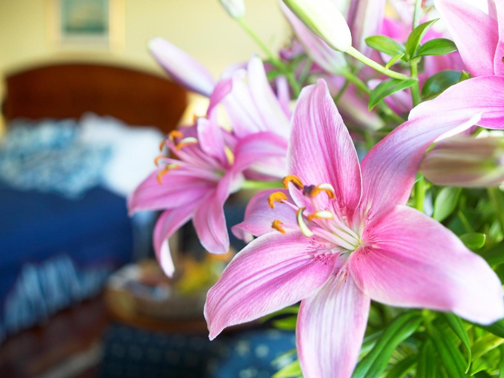 Фото Отель Home Bryggen