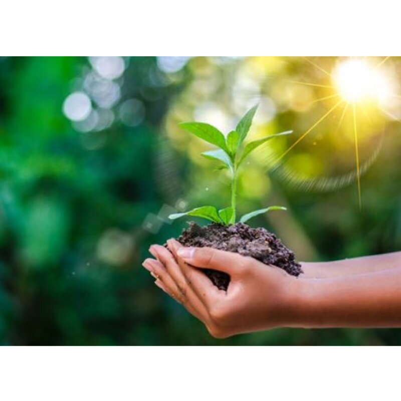 Environmental organization Norproject, Lima, photo