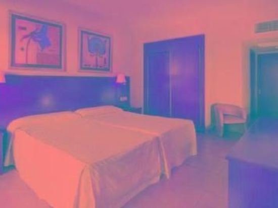 Фото Hotel Las Palmeras Affiliated by Fergus