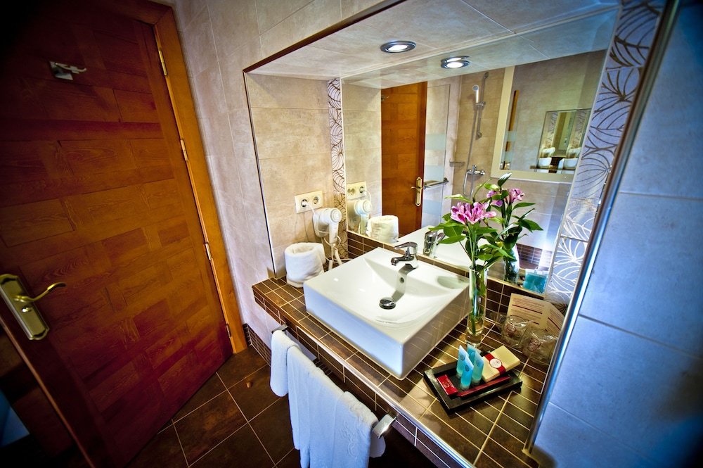 Фото Hotel Condes de Castilla