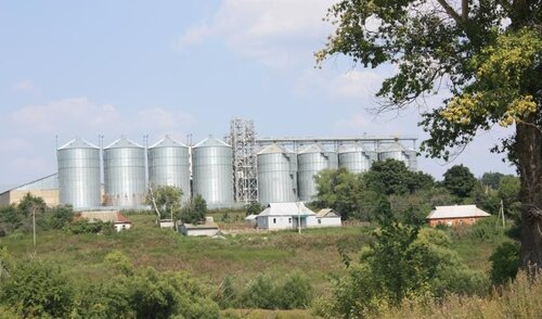 Сельскохозяйственная продукция Колос, Липецкая область, фото