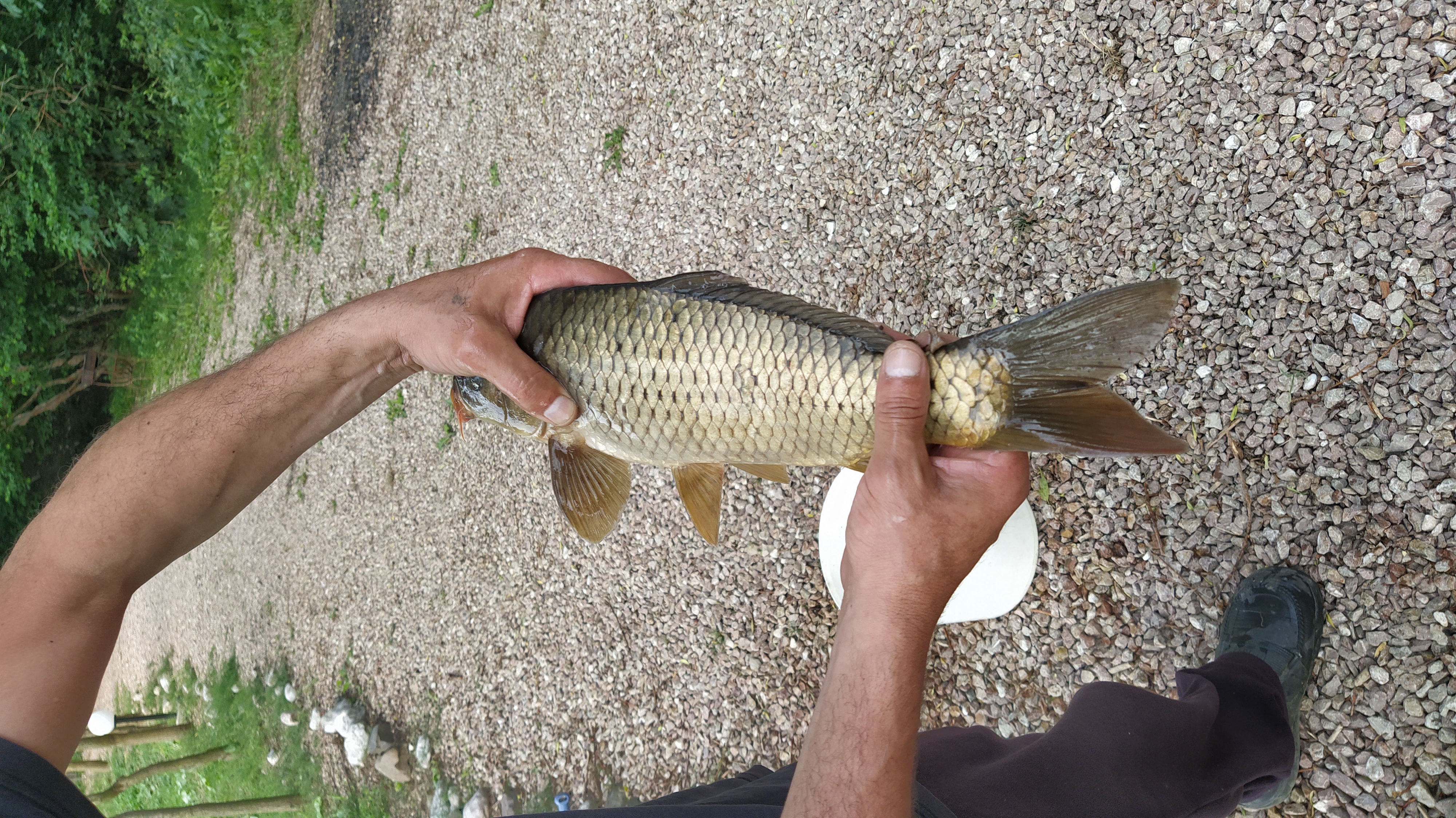 Фото Ангара