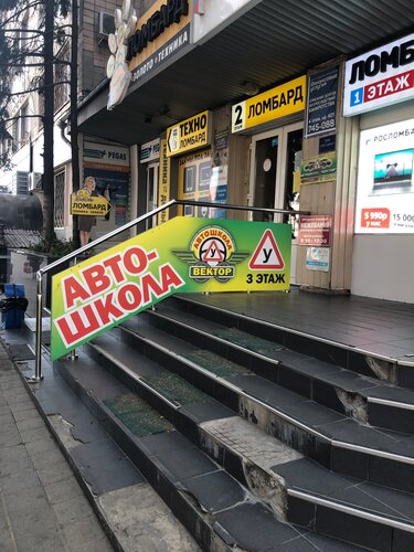 Вектор автошкола машины