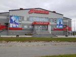 Ледовый центр Авангард (ulitsa Dzerzhinskogo, 26), ice rink