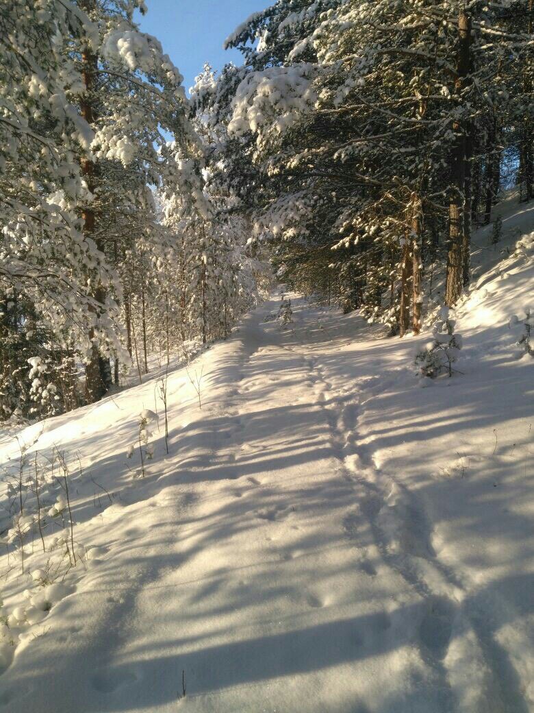 Фото Бабушкин хутор