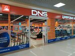 DNS (просп. Генерала Острякова, 260, Севастополь), компьютерный магазин в Севастополе