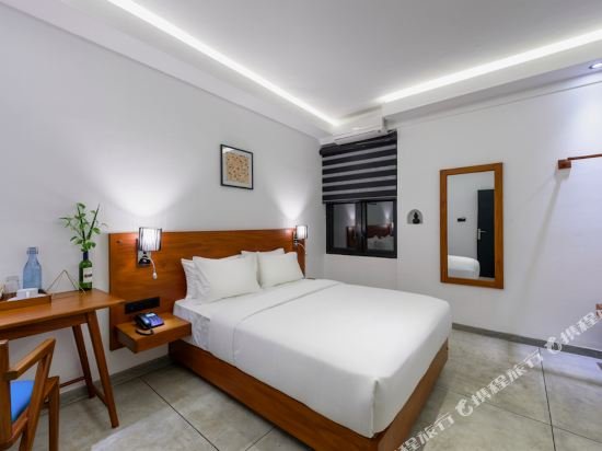 Фото Fern Colombo