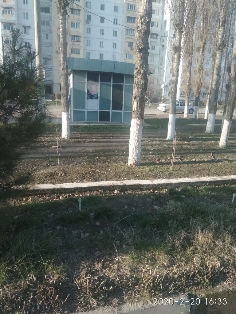 Grocery Mini Market, Tashkent, photo